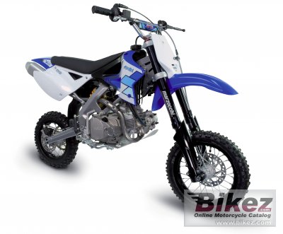 2007 Polini XP4 - 110 Cross Racing photo